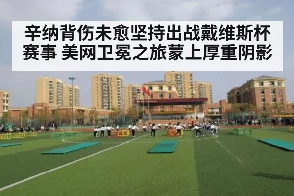 辛纳背伤未愈坚持出战戴维斯杯赛事 美网卫冕之旅蒙上厚重阴影